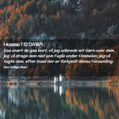 Picture 02 - Hoseas 7:12 DA1871 - Saa snart de gaa bort, vil jeg udbrede mit Garn - Bible Verse Picture