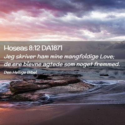 Picture 02 - Hoseas 8:12 DA1871 - Jeg skriver ham mine mangfoldige Love; de ere - Bible Verse Picture