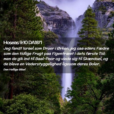 Picture 02 - Hoseas 9:10 DA1871 - Jeg fandt Israel som Druer i Ørken, jeg saa - Bible Verse Picture