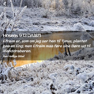 Picture 02 - Hoseas 9:13 DA1871 - Efraim er, som om jeg ser hen til Tyrus, plantet - Bible Verse Picture