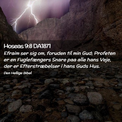 Picture 02 - Hoseas 9:8 DA1871 - Efraim ser sig om, foruden til min Gud; Profeten - Bible Verse Picture