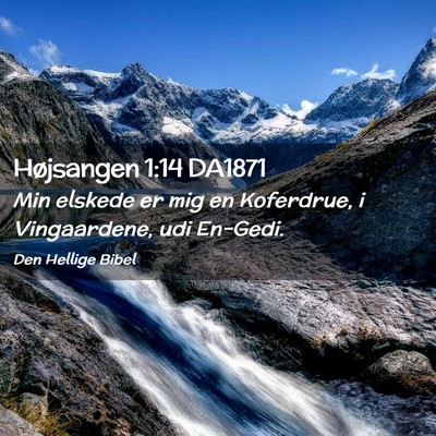 Picture 02 - Højsangen 1:14 DA1871 - Min elskede er mig en Koferdrue, i Vingaardene, - Bible Verse Picture