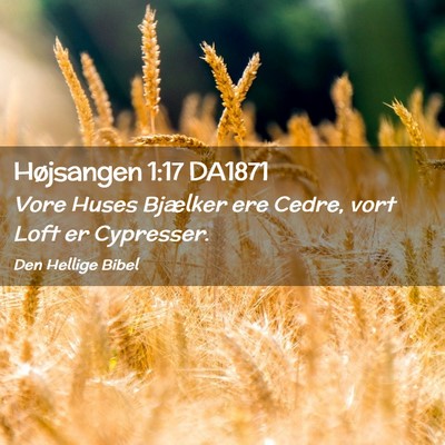 Picture 02 - Højsangen 1:17 DA1871 - Vore Huses Bjælker ere Cedre, vort Loft er - Bible Verse Picture