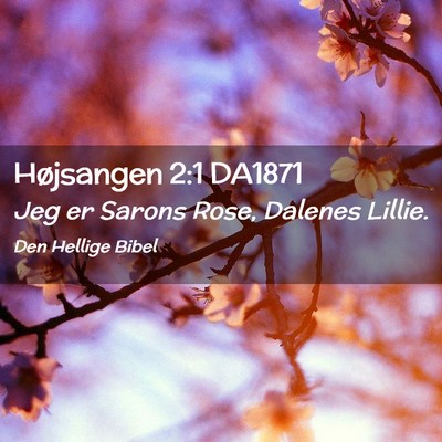 Picture 02 - Højsangen 2:1 DA1871 - Jeg er Sarons Rose, Dalenes - Bible Verse Picture
