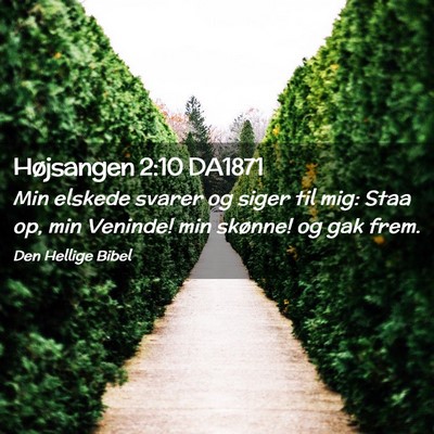 Picture 02 - Højsangen 2:10 DA1871 - Min elskede svarer og siger til mig: Staa op, min - Bible Verse Picture