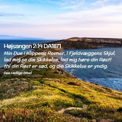 Picture 02 - Højsangen 2:14 DA1871 - Min Due i Klippens Revner, i Fjeldvæggens Skjul, - Bible Verse Picture