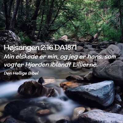 Picture 02 - Højsangen 2:16 DA1871 - Min elskede er min, og jeg er hans, som vogter - Bible Verse Picture
