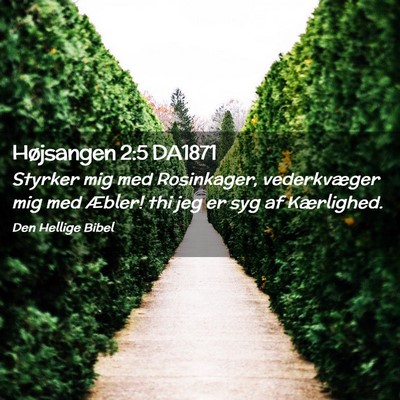 Picture 02 - Højsangen 2:5 DA1871 - Styrker mig med Rosinkager, vederkvæger mig med - Bible Verse Picture