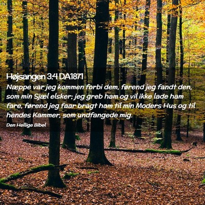 Picture 02 - Højsangen 3:4 DA1871 - Næppe var jeg kommen forbi dem, førend jeg - Bible Verse Picture