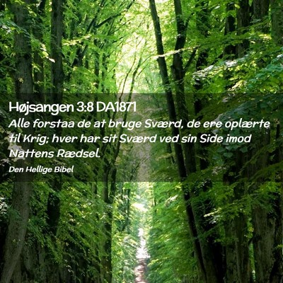Picture 02 - Højsangen 3:8 DA1871 - Alle forstaa de at bruge Sværd, de ere oplærte - Bible Verse Picture