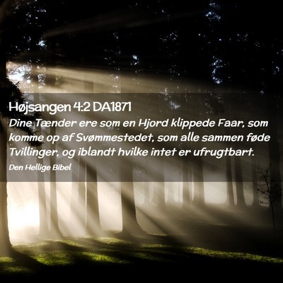 Picture 02 - Højsangen 4:2 DA1871 - Dine Tænder ere som en Hjord klippede Faar, som - Bible Verse Picture