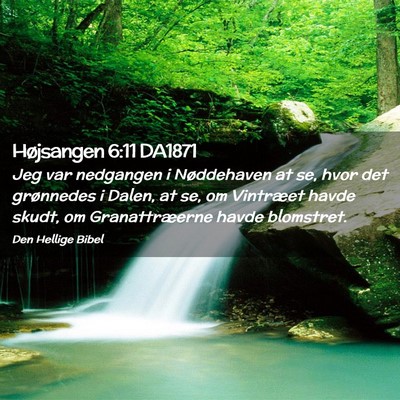 Picture 02 - Højsangen 6:11 DA1871 - Jeg var nedgangen i Nøddehaven at se, hvor det - Bible Verse Picture