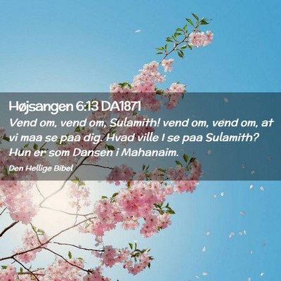 Picture 02 - Højsangen 6:13 DA1871 - Vend om, vend om, Sulamith! vend om, vend om, at - Bible Verse Picture