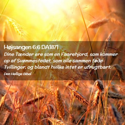 Picture 02 - Højsangen 6:6 DA1871 - Dine Tænder ere som en Faarehjord, som kommer op - Bible Verse Picture
