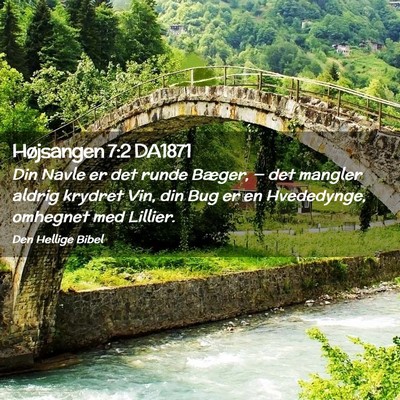 Picture 02 - Højsangen 7:2 DA1871 - Din Navle er det runde Bæger, — det mangler - Bible Verse Picture