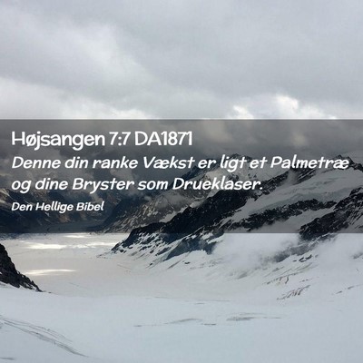 Picture 02 - Højsangen 7:7 DA1871 - Denne din ranke Vækst er ligt et Palmetræ og - Bible Verse Picture