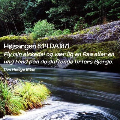 Picture 02 - Højsangen 8:14 DA1871 - Fly min elskede! og vær lig en Raa eller en ung - Bible Verse Picture