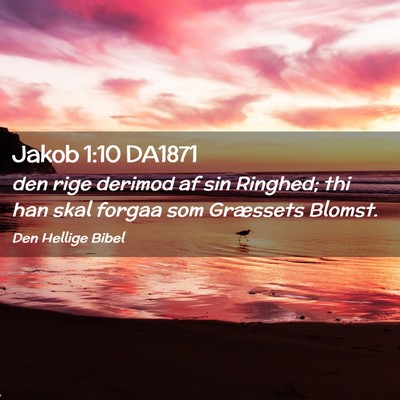 Picture 02 - Jakob 1:10 DA1871 - den rige derimod af sin Ringhed; thi han skal - Bible Verse Picture