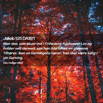 Picture 02 - Jakob 1:25 DA1871 - Men den, som skuer ind i Frihedens fuldkomne Lov - Bible Verse Picture