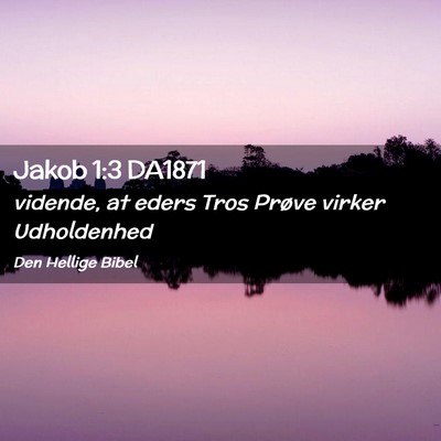 Picture 02 - Jakob 1:3 DA1871 - vidende, at eders Tros Prøve virker - Bible Verse Picture