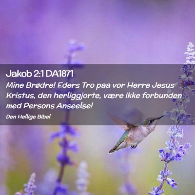 Picture 02 - Jakob 2:1 DA1871 - Mine Brødre! Eders Tro paa vor Herre Jesus - Bible Verse Picture