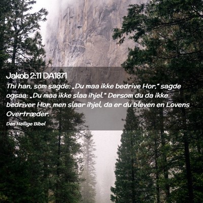 Picture 02 - Jakob 2:11 DA1871 - Thi han, som sagde: „Du maa ikke bedrive - Bible Verse Picture