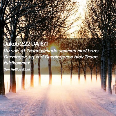 Picture 02 - Jakob 2:22 DA1871 - Du ser, at Troen virkede sammen med hans - Bible Verse Picture