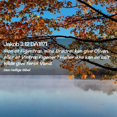 Picture 02 - Jakob 3:12 DA1871 - Mon et Figentræ, mine Brødre! kan give Oliven, - Bible Verse Picture