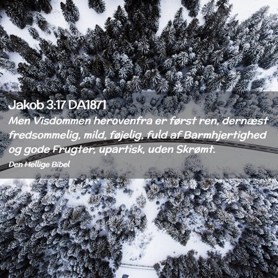 Picture 02 - Jakob 3:17 DA1871 - Men Visdommen herovenfra er først ren, dernæst - Bible Verse Picture