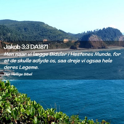 Picture 02 - Jakob 3:3 DA1871 - Men naar vi lægge Bidsler i Hestenes Munde, for - Bible Verse Picture