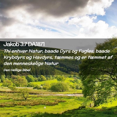 Picture 02 - Jakob 3:7 DA1871 - Thi enhver Natur, baade Dyrs og Fugles, baade - Bible Verse Picture