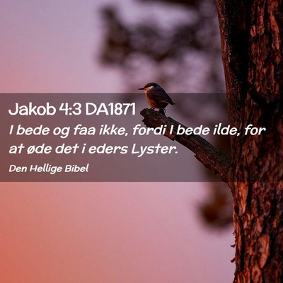 Picture 02 - Jakob 4:3 DA1871 - I bede og faa ikke, fordi I bede ilde, for at - Bible Verse Picture