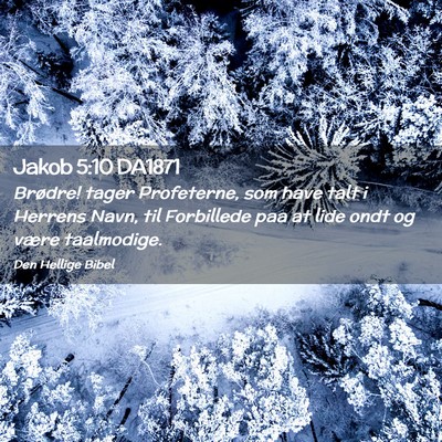 Picture 02 - Jakob 5:10 DA1871 - Brødre! tager Profeterne, som have talt i - Bible Verse Picture