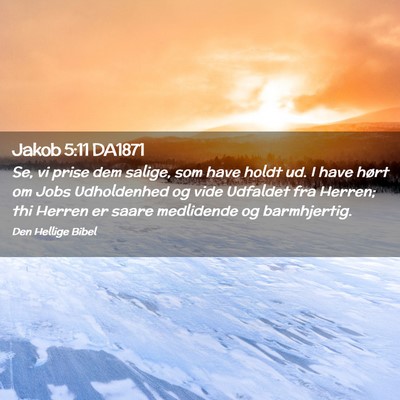 Picture 02 - Jakob 5:11 DA1871 - Se, vi prise dem salige, som have holdt ud. I - Bible Verse Picture