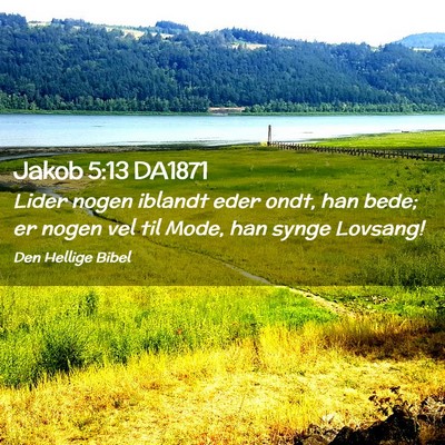 Picture 02 - Jakob 5:13 DA1871 - Lider nogen iblandt eder ondt, han bede; er nogen - Bible Verse Picture
