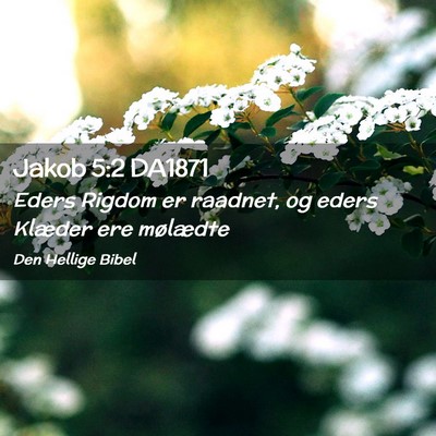 Picture 02 - Jakob 5:2 DA1871 - Eders Rigdom er raadnet, og eders Klæder ere - Bible Verse Picture