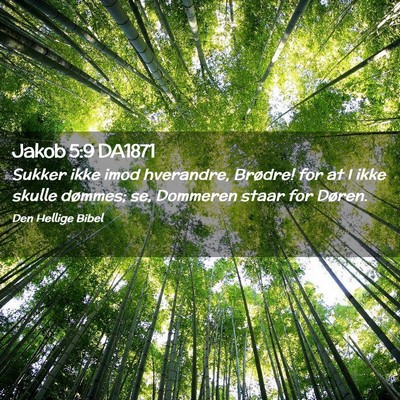 Picture 02 - Jakob 5:9 DA1871 - Sukker ikke imod hverandre, Brødre! for at I - Bible Verse Picture
