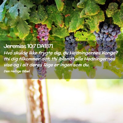 Picture 02 - Jeremias 10:7 DA1871 - Hvo skulde ikke frygte dig, du Hedningernes - Bible Verse Picture