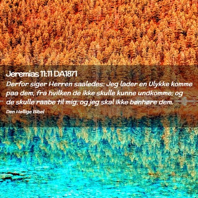 Picture 02 - Jeremias 11:11 DA1871 - Derfor siger Herren saaledes: Jeg lader en Ulykke - Bible Verse Picture