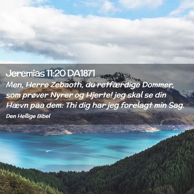 Picture 02 - Jeremias 11:20 DA1871 - Men, Herre Zebaoth, du retfærdige Dommer, som - Bible Verse Picture