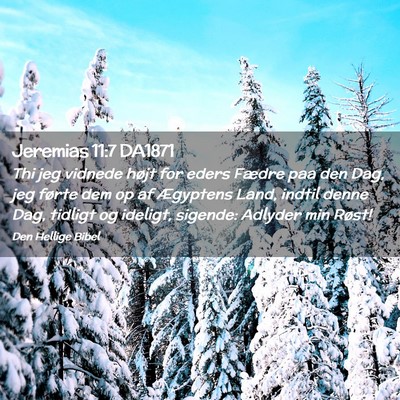 Picture 02 - Jeremias 11:7 DA1871 - Thi jeg vidnede højt for eders Fædre paa den - Bible Verse Picture