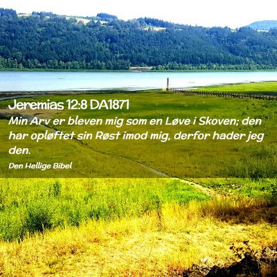 Picture 02 - Jeremias 12:8 DA1871 - Min Arv er bleven mig som en Løve i Skoven; den - Bible Verse Picture