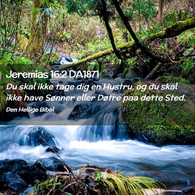 Picture 02 - Jeremias 16:2 DA1871 - Du skal ikke tage dig en Hustru, og du skal ikke - Bible Verse Picture