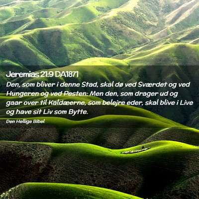 Picture 02 - Jeremias 21:9 DA1871 - Den, som bliver i denne Stad, skal dø ved - Bible Verse Picture