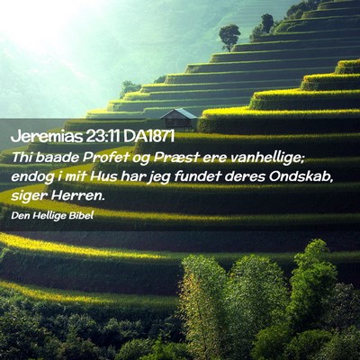 Picture 02 - Jeremias 23:11 DA1871 - Thi baade Profet og Præst ere vanhellige; endog - Bible Verse Picture