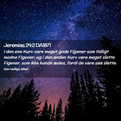 Picture 02 - Jeremias 24:2 DA1871 - I den ene Kurv vare meget gode Figener som - Bible Verse Picture