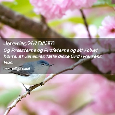 Picture 02 - Jeremias 26:7 DA1871 - Og Præsterne og Profeterne og alt Folket hørte, - Bible Verse Picture