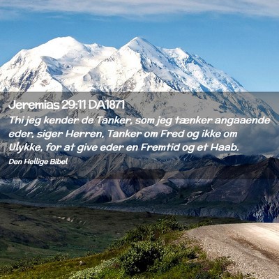 Picture 02 - Jeremias 29:11 DA1871 - Thi jeg kender de Tanker, som jeg tænker - Bible Verse Picture
