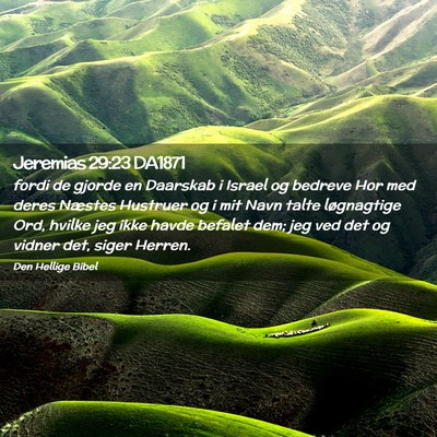Picture 02 - Jeremias 29:23 DA1871 - fordi de gjorde en Daarskab i Israel og bedreve - Bible Verse Picture