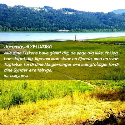 Picture 02 - Jeremias 30:14 DA1871 - Alle dine Elskere have glemt dig, de søge dig - Bible Verse Picture